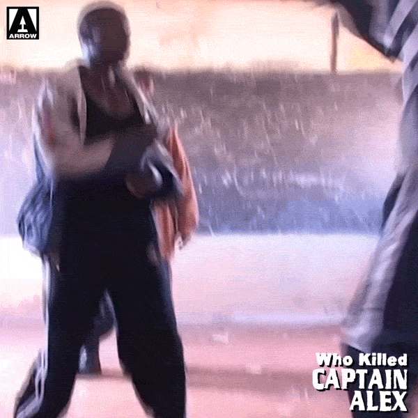 Martial Arts Fight GIF by Arrow Video