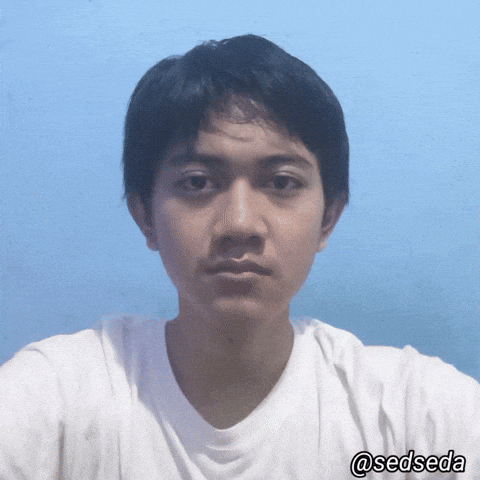 Sedseda GIF