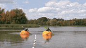 HallmarkChannel reaction halloween hallmark hallmark channel GIF