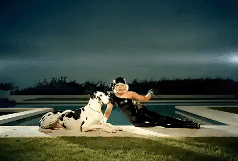 music video dog GIF by Lady Gaga