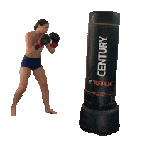 Working Out Martial Arts Sticker by Century Kickboxing