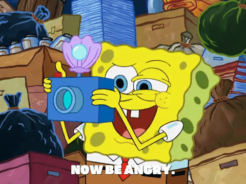 season 8 episode 3 GIF by SpongeBob SquarePants
