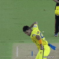 Chennai Super Kings Ipl GIF