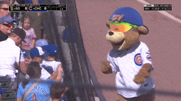 Chicago Cubs Sport GIF by MLB