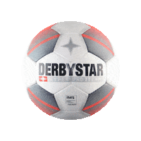 Soccer Ball Sticker by ball-one.de
