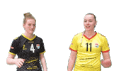 Volleyball Sticker by Draisma Dynamo