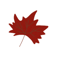britticreative fall autumn leaves flat Sticker