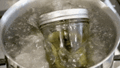 viceland GIF by Bong Appétit
