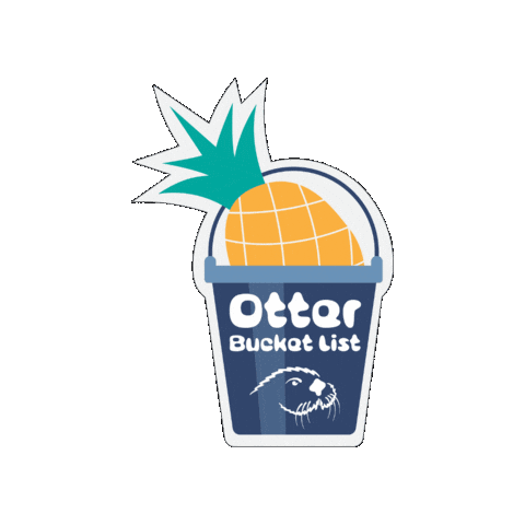 csumbshtm giphygifmaker otter bucketlist csumb Sticker
