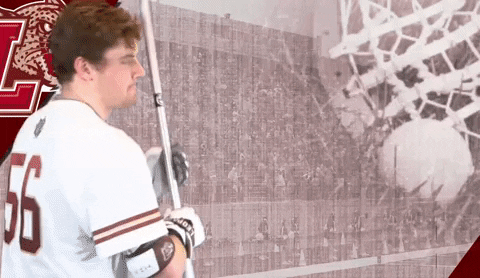 Roll Pards GIF by Lafayette Leopards