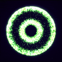 gif artist glow GIF by Erica Anderson