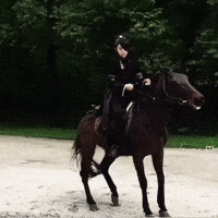 Jg Joon GIF