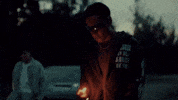 Fire Fireworks GIF by alienzalive