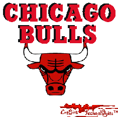chicago bulls STICKER