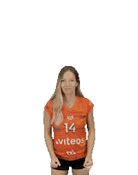 Celebration Sticker by NUCVolleyball