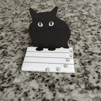 animation cat GIF by eevr