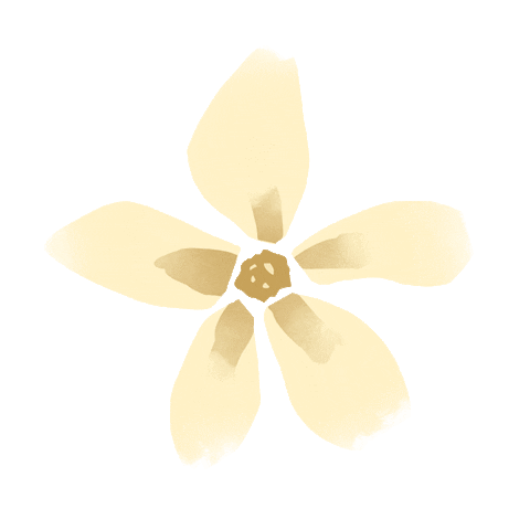 flower linea Sticker by lineaorganica