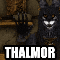 Skyrim GIF