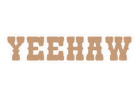 Country Music Sticker