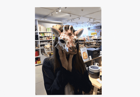Dvall GIF by Konshumo