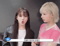 Nmixx GIF