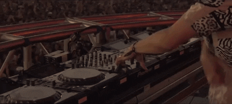 coachella 2019 GIF by FISHER