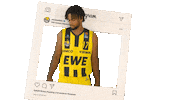 Ewe Baskets Basketball Sticker by EWE Baskets Oldenburg