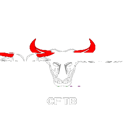 cftb giphyupload cftb crossfittb crosstb Sticker