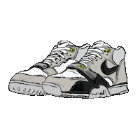 cartergunitgraphic shoes skateboarding nike sneakers Sticker