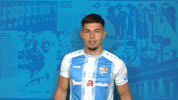 Celebration Cfc GIF by ChemnitzerFC