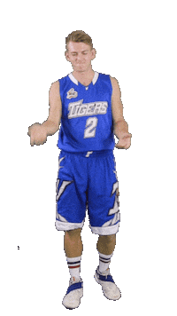Basketball Swipe Sticker by ACSL - Austrian College Sports League