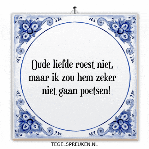 Humor Nl GIF by Tegelspreuken.nl