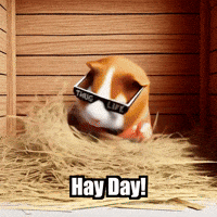 Guinea Pig Relaxation GIF by Guinea Gambino