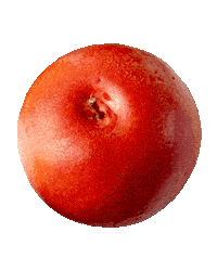 Apple Chef Sticker by Cedric Grolet