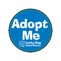Adoptme Ldar Sticker by Lucky Dog Animal Rescue