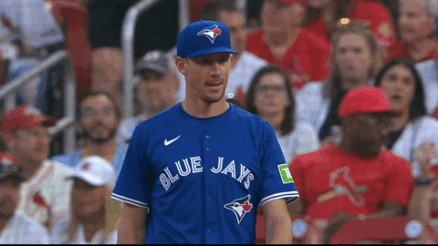 Happy Blue Jays GIF by Toronto Blue Jays