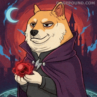 Holding Crystal Ball GIF by Doge Pound