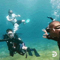 Will Smith GIF by Shark Week
