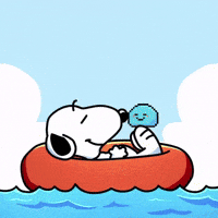 Memecoin Xrp GIF by $DROP