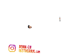 Jvkpolaroids Sticker by BORN ON INSTAGRAM