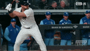 The Martian Yankees GIF by YES Network