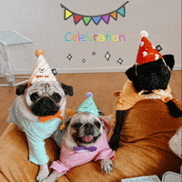 Celebrate Happy Birthday GIF