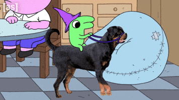 Dog Horse GIF by Adult Swim