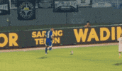 Thom Haye Viking GIF