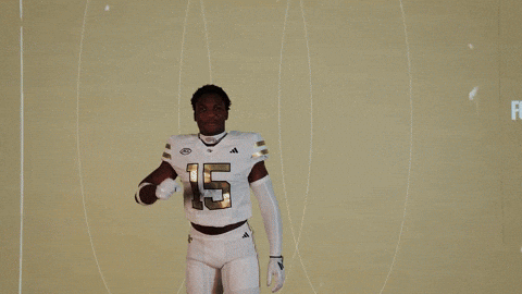 Georgia Tech Football Sport GIF by Georgia Tech Yellow Jackets