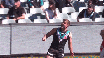 Ollie Wines Football GIF by Port Adelaide FC