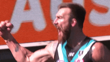 Football Goal GIF by Port Adelaide FC