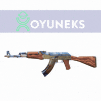 Csgo Skin GIF by Oyuneks