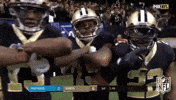 New Orleans Saints Football GIF by NFL