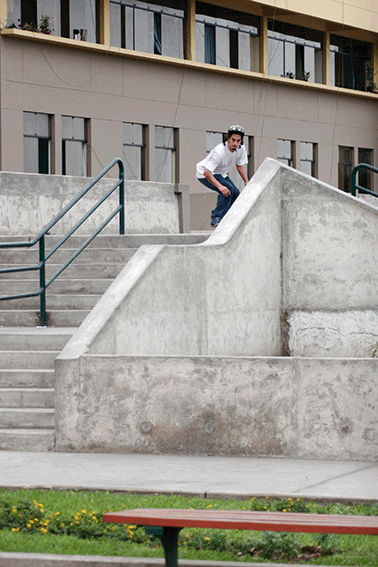 vidarodantemag giphyupload GIF